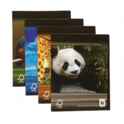 WWF Schrift A4 - lang geruit 